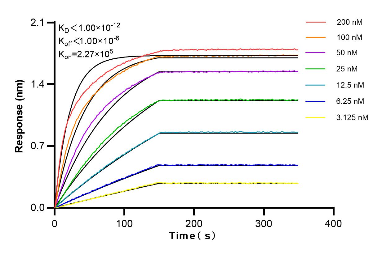 Affinity and Kinetic Characterization of 82650-1-RR