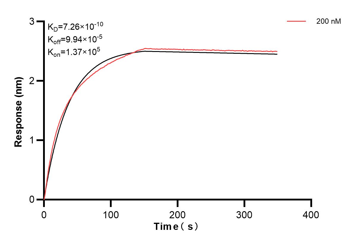 Affinity and Kinetic Characterization of 82685-16-PBS