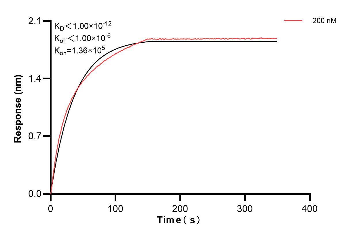 Affinity and Kinetic Characterization of 82685-18-PBS