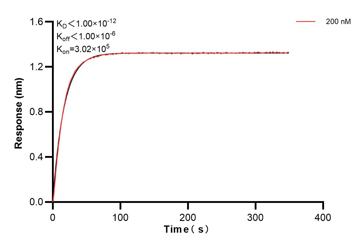 Affinity and Kinetic Characterization of 82685-19-PBS