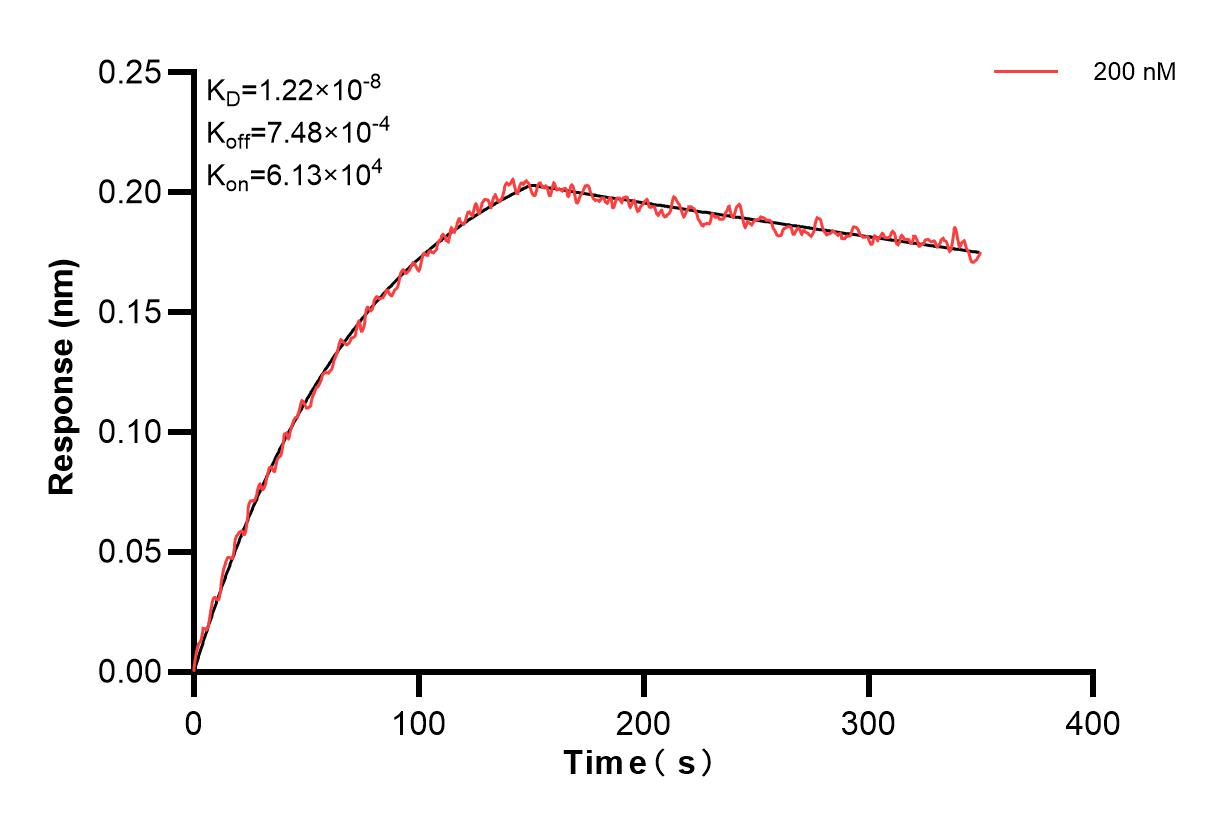 Affinity and Kinetic Characterization of 82696-12-PBS