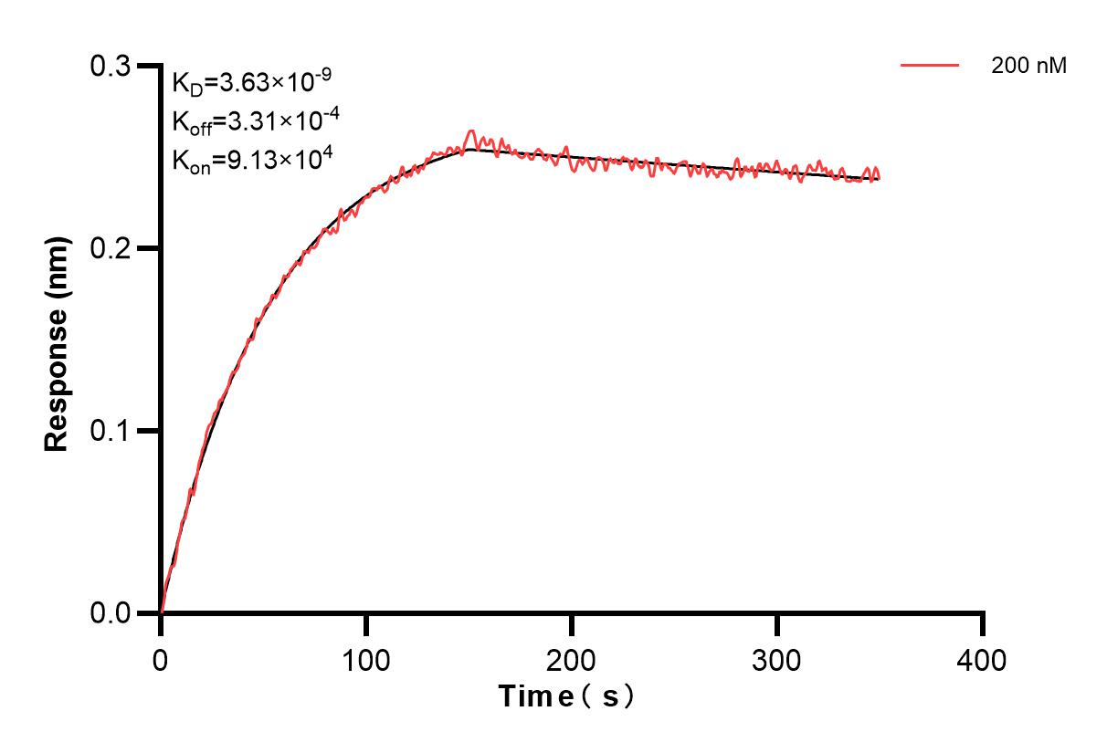 Affinity and Kinetic Characterization of 82696-8-PBS