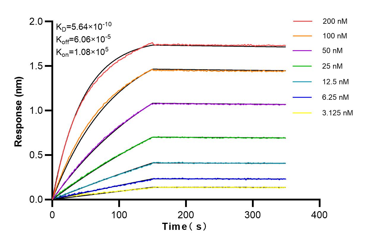 Affinity and Kinetic Characterization of 82700-10-RR