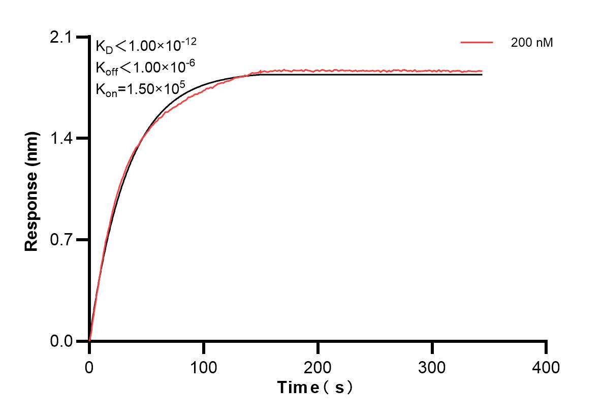 Affinity and Kinetic Characterization of 82700-5-PBS