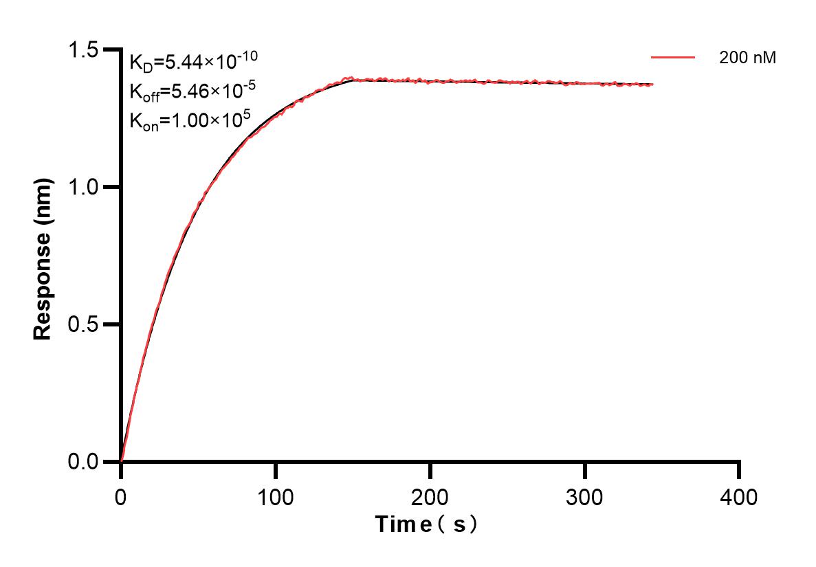 Affinity and Kinetic Characterization of 82700-6-PBS