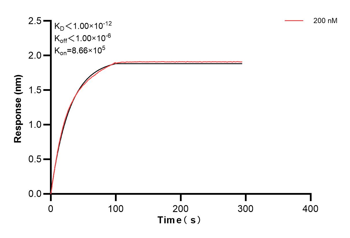Affinity and Kinetic Characterization of 82700-7-PBS