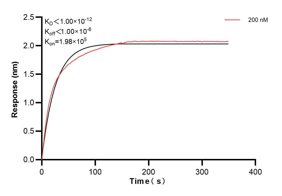 Affinity and Kinetic Characterization of 82700-8-PBS