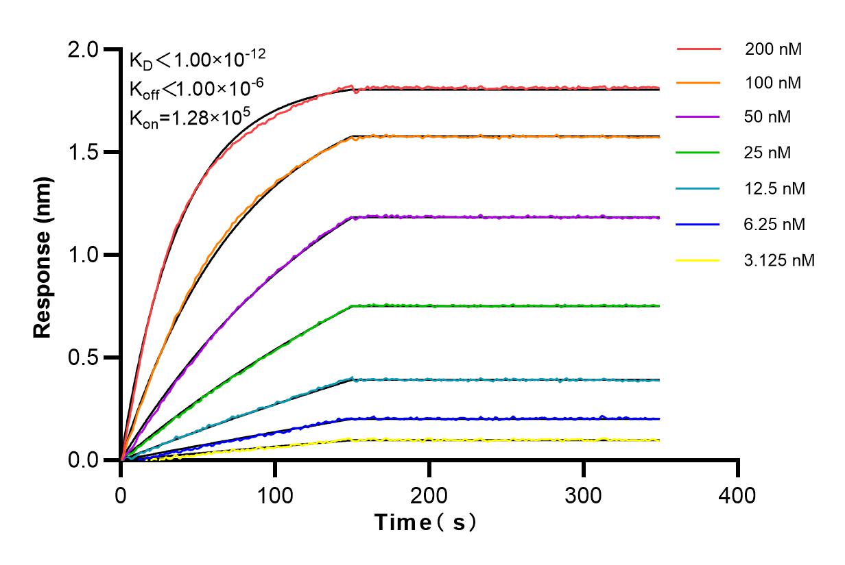 Affinity and Kinetic Characterization of 82700-9-RR