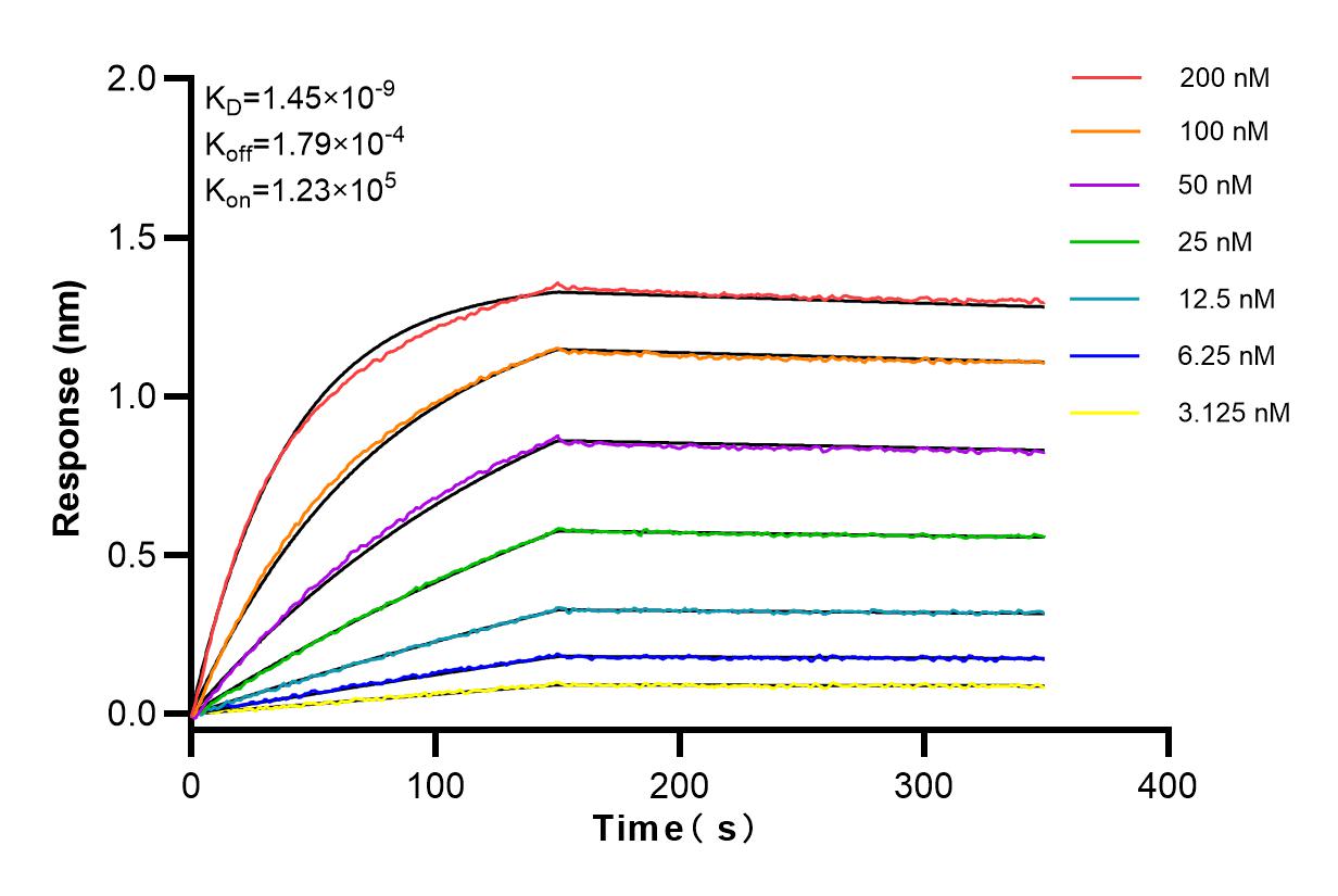 Affinity and Kinetic Characterization of 82715-3-RR