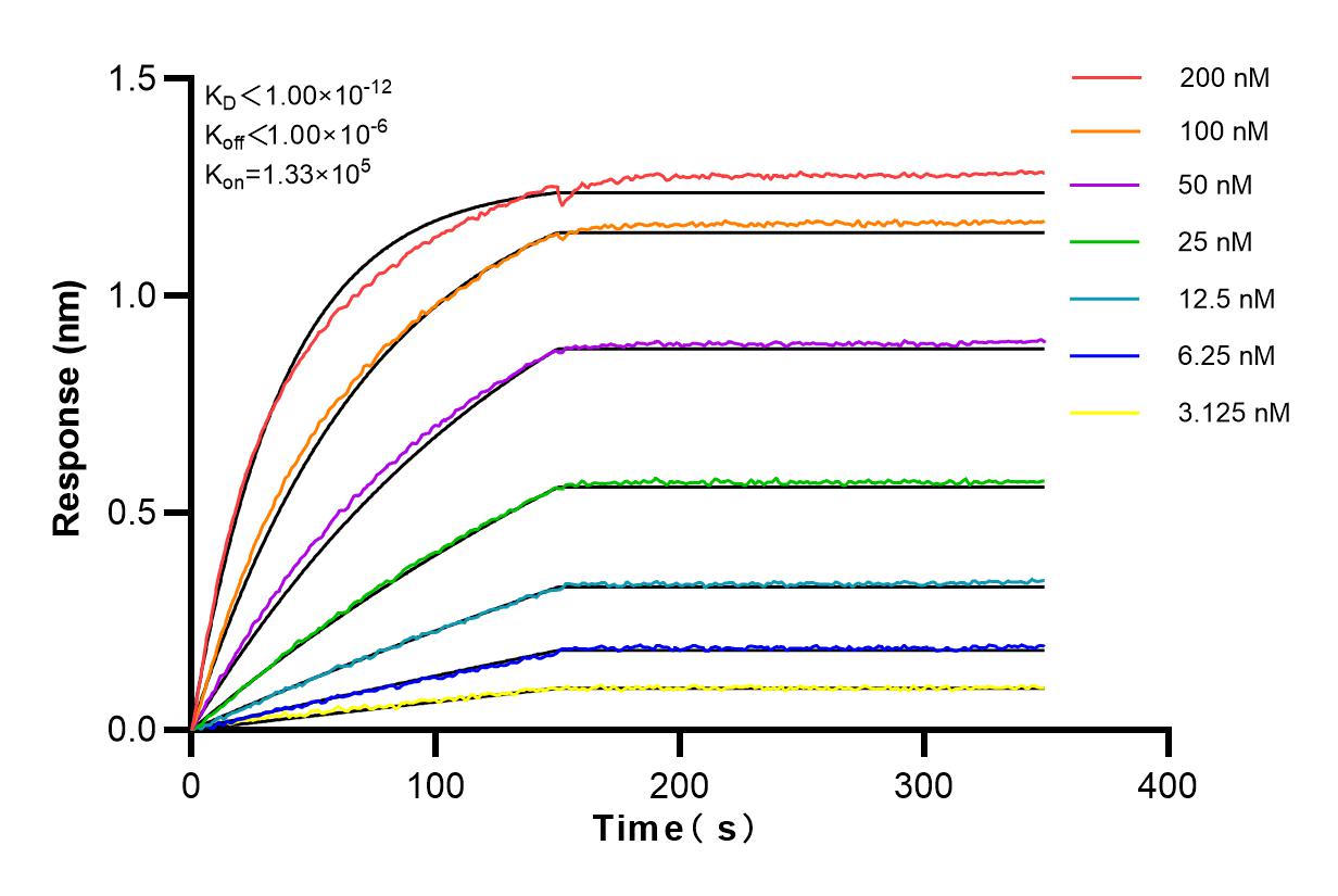 Affinity and Kinetic Characterization of 82718-3-RR