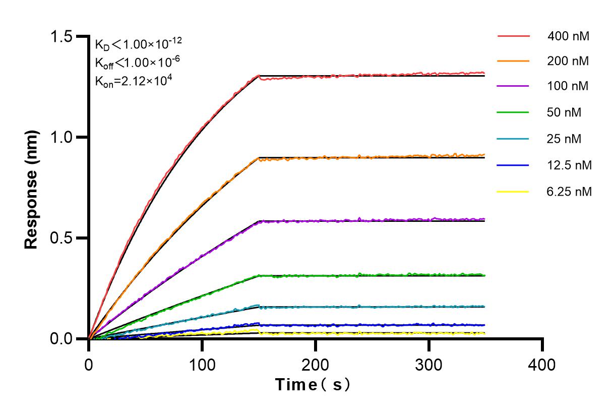 Affinity and Kinetic Characterization of 82719-15-RR