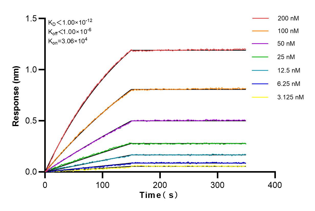 Affinity and Kinetic Characterization of 82733-7-RR