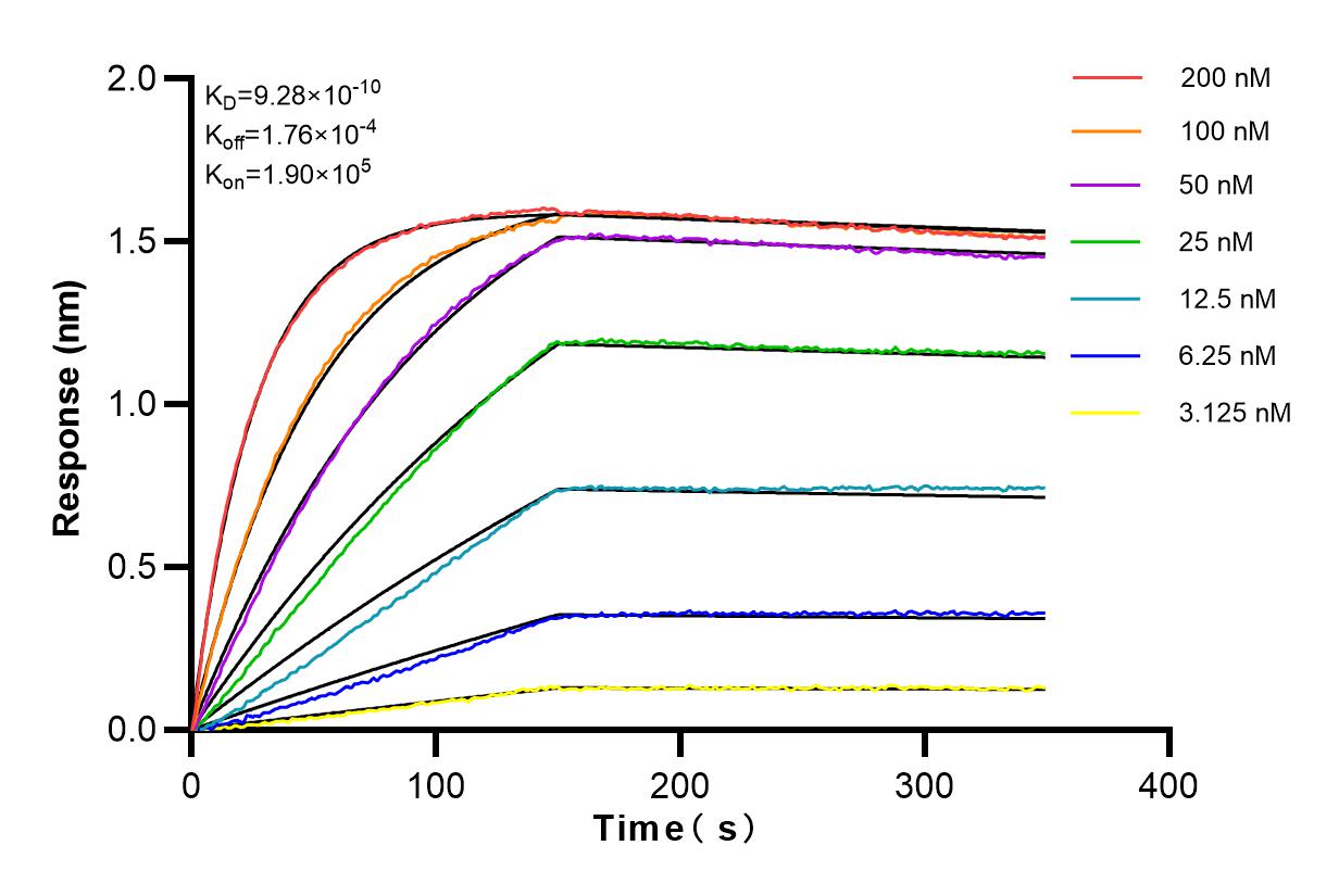 Affinity and Kinetic Characterization of 82738-4-RR