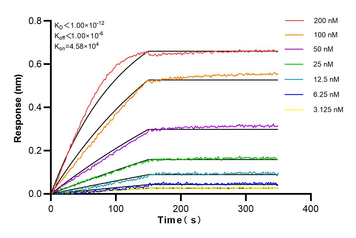 Affinity and Kinetic Characterization of 82739-1-PBS