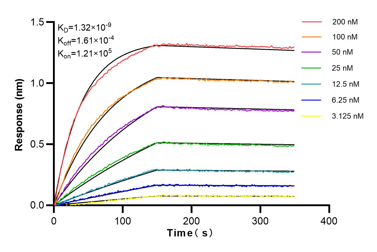 Affinity and Kinetic Characterization of 82748-1-RR