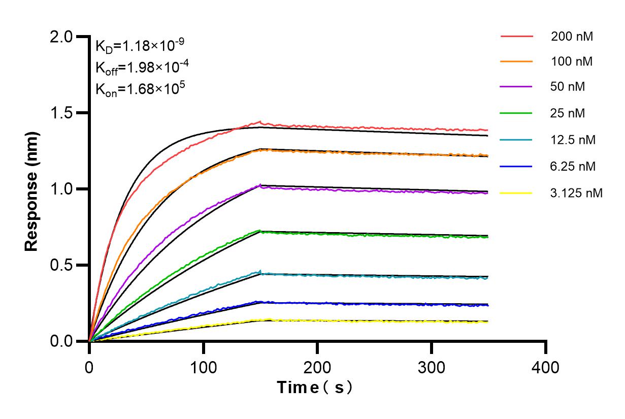 Affinity and Kinetic Characterization of 82760-2-RR