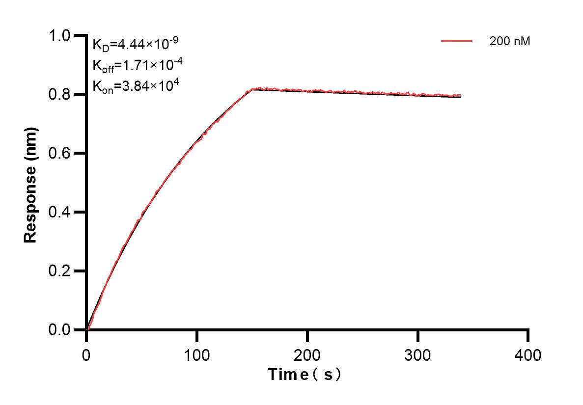 Affinity and Kinetic Characterization of 82780-3-PBS