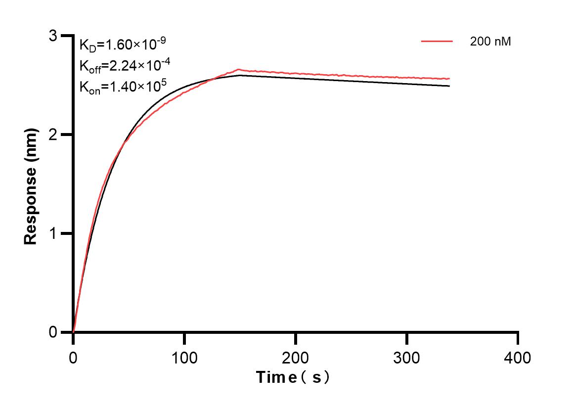 Affinity and Kinetic Characterization of 82780-4-PBS