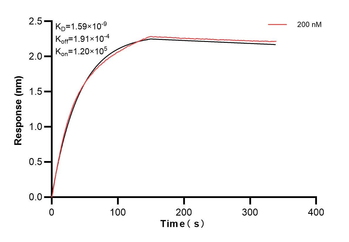 Affinity and Kinetic Characterization of 82780-5-PBS