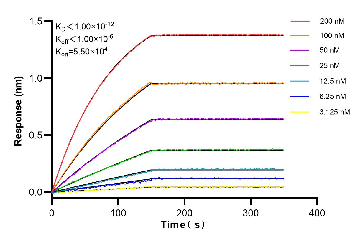 Affinity and Kinetic Characterization of 82780-6-RR