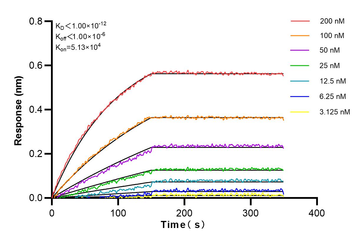 Affinity and Kinetic Characterization of 82781-6-RR