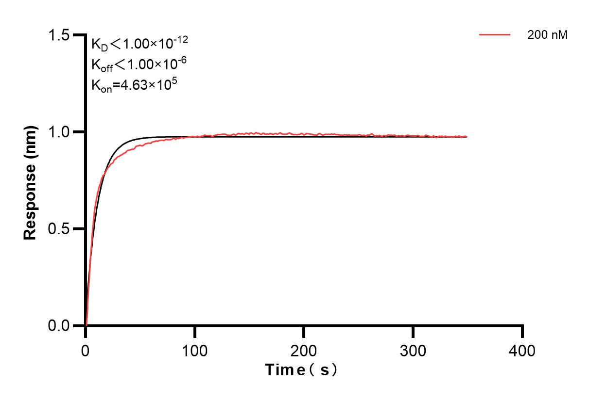 Affinity and Kinetic Characterization of 82794-3-PBS