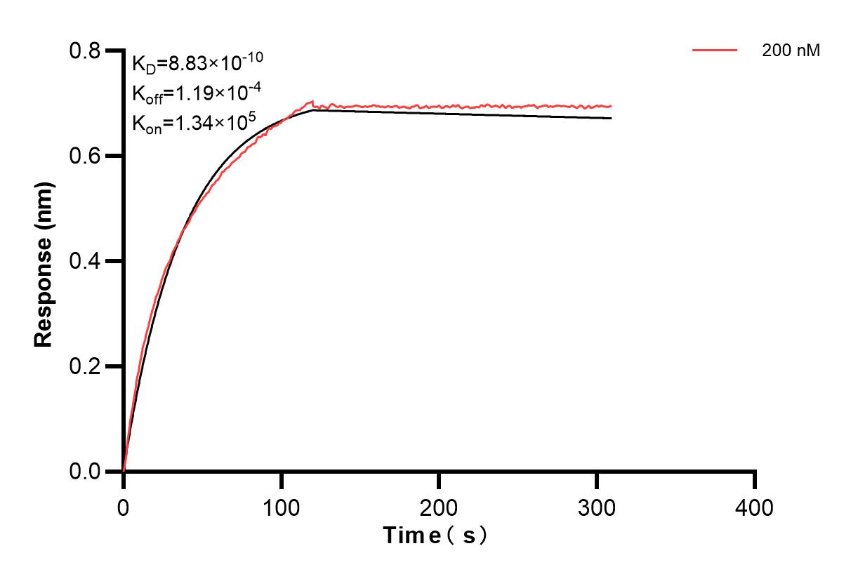 Affinity and Kinetic Characterization of 82794-4-PBS