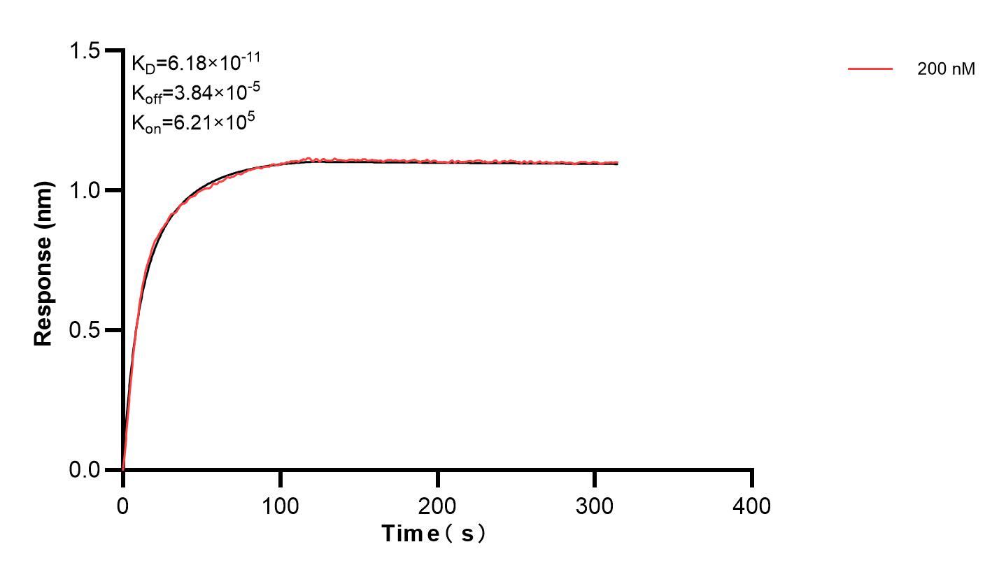 Affinity and Kinetic Characterization of 82794-5-PBS