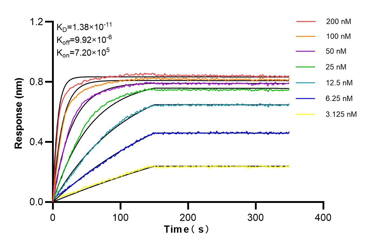 Affinity and Kinetic Characterization of 82794-7-RR