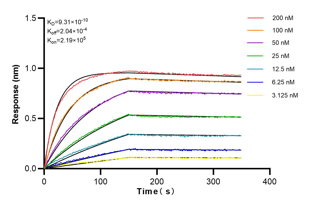 Affinity and Kinetic Characterization of 82795-2-PBS