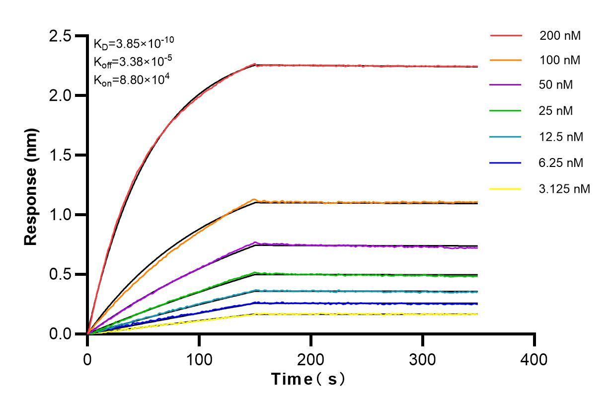 Affinity and Kinetic Characterization of 82796-4-RR