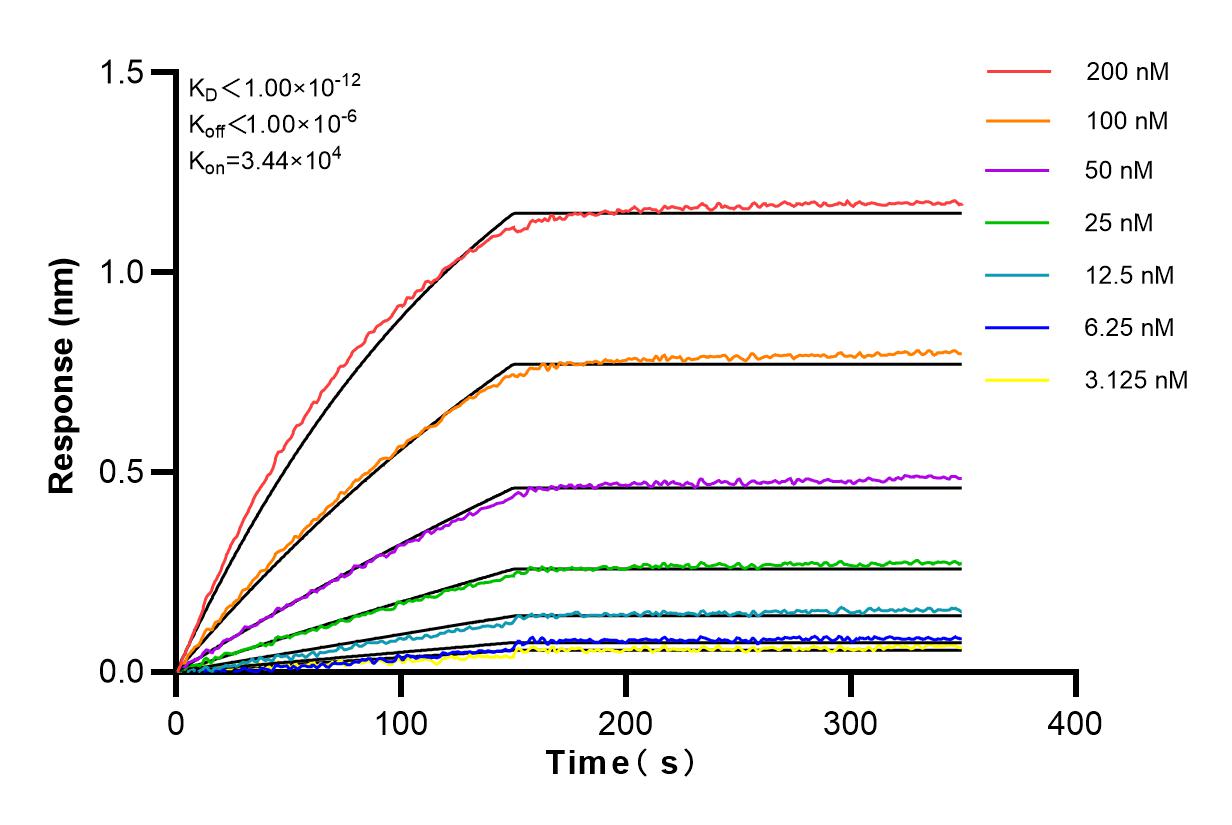 Affinity and Kinetic Characterization of 82798-3-RR