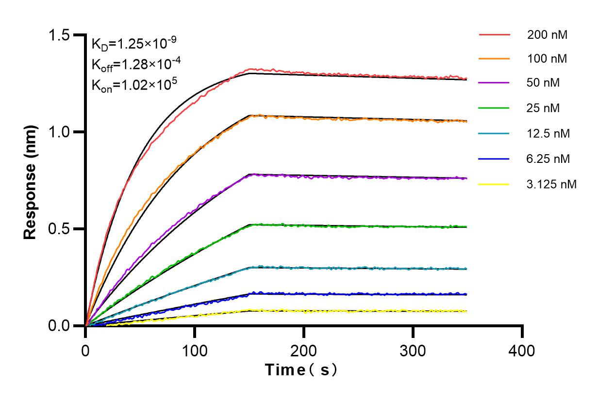 Affinity and Kinetic Characterization of 82834-2-RR