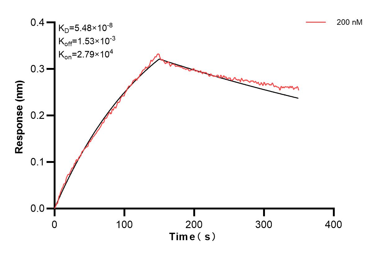 Affinity and Kinetic Characterization of 82850-3-PBS