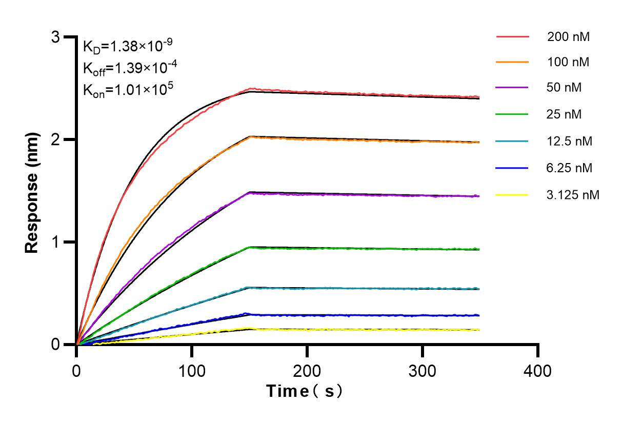 Affinity and Kinetic Characterization of 82854-8-RR