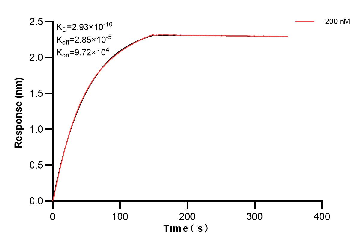 Affinity and Kinetic Characterization of 82856-13-PBS