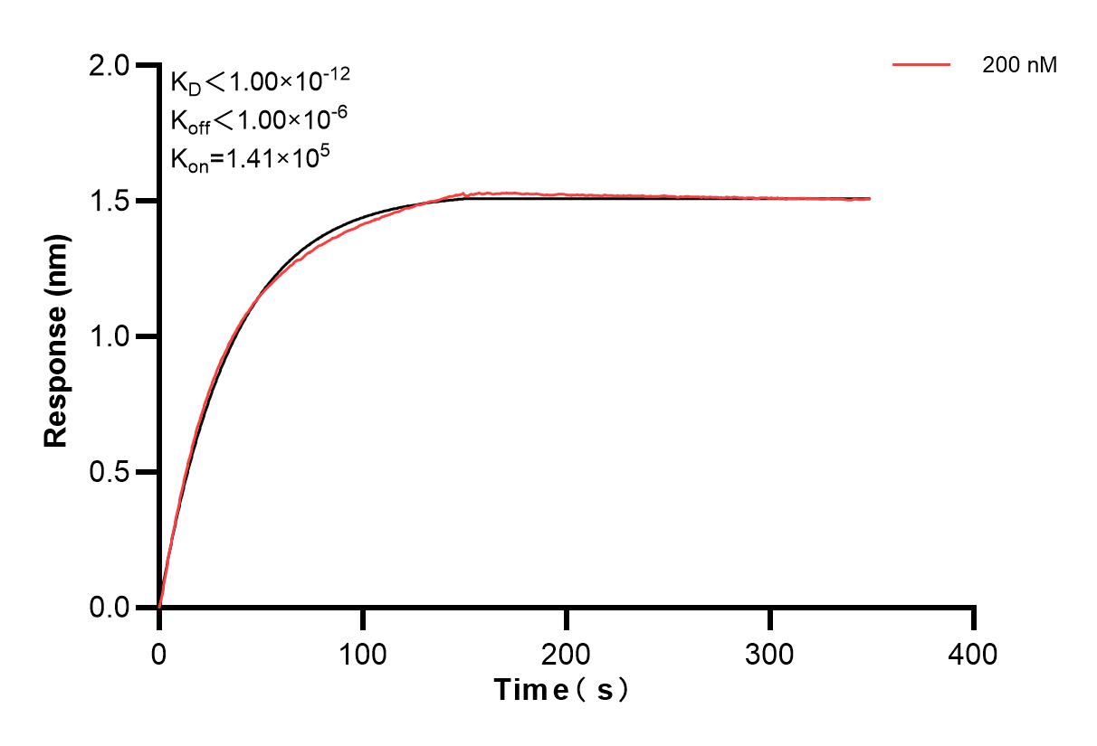 Affinity and Kinetic Characterization of 82856-15-PBS