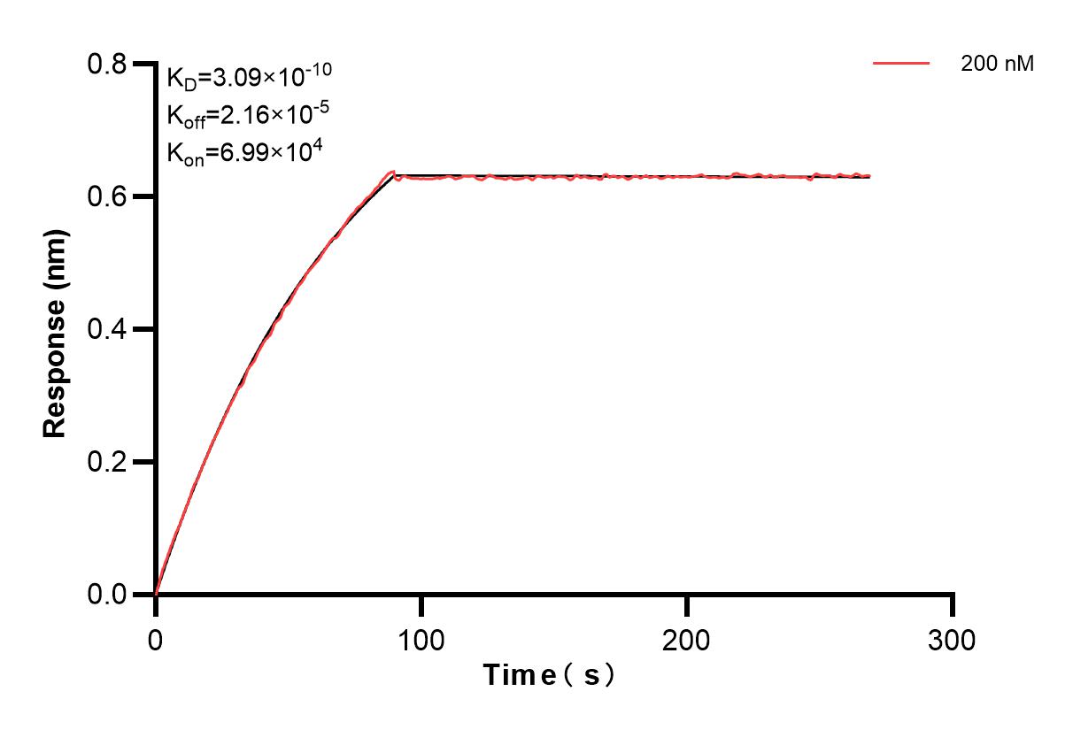 Affinity and Kinetic Characterization of 82856-16-PBS