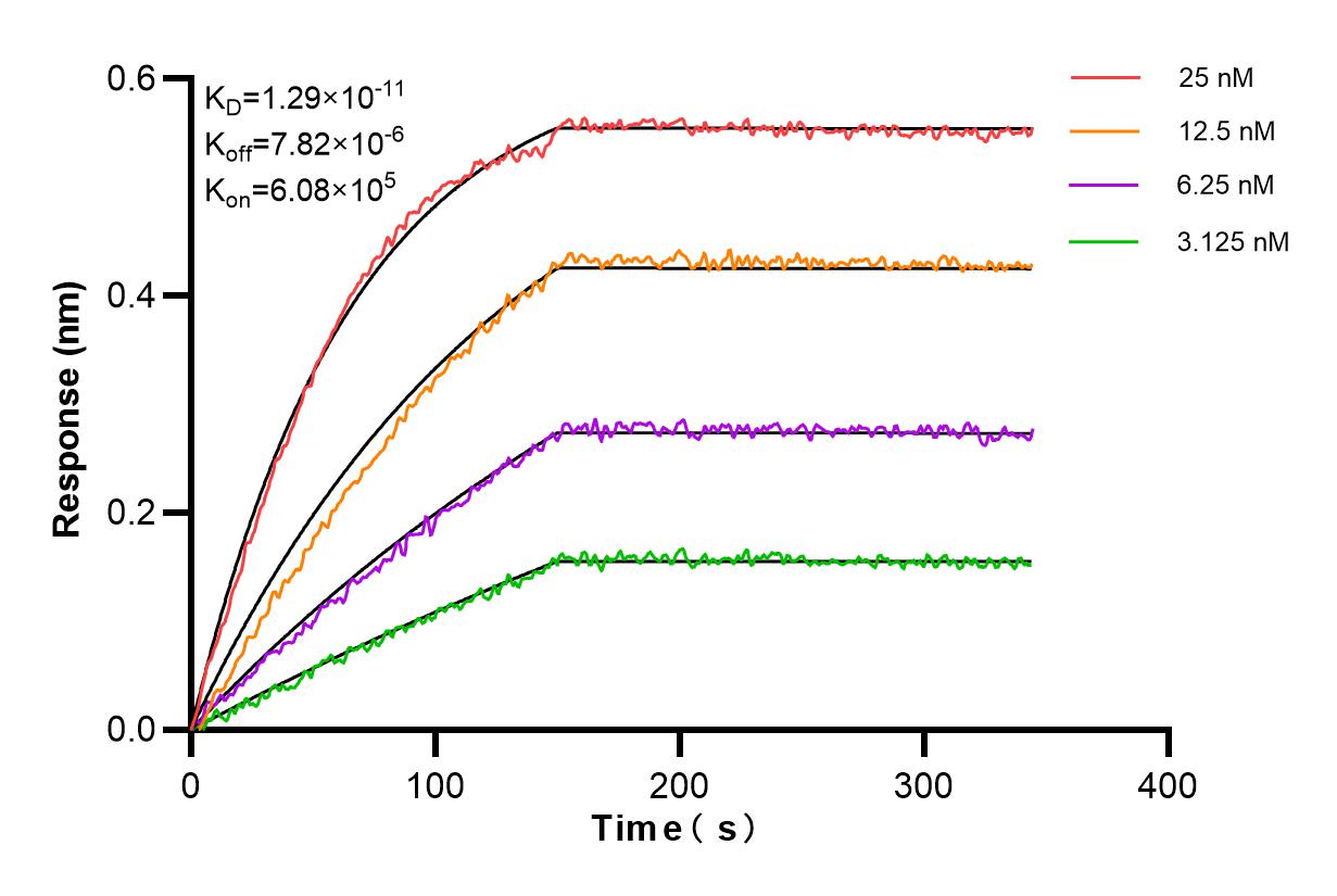 Affinity and Kinetic Characterization of 82863-7-PBS