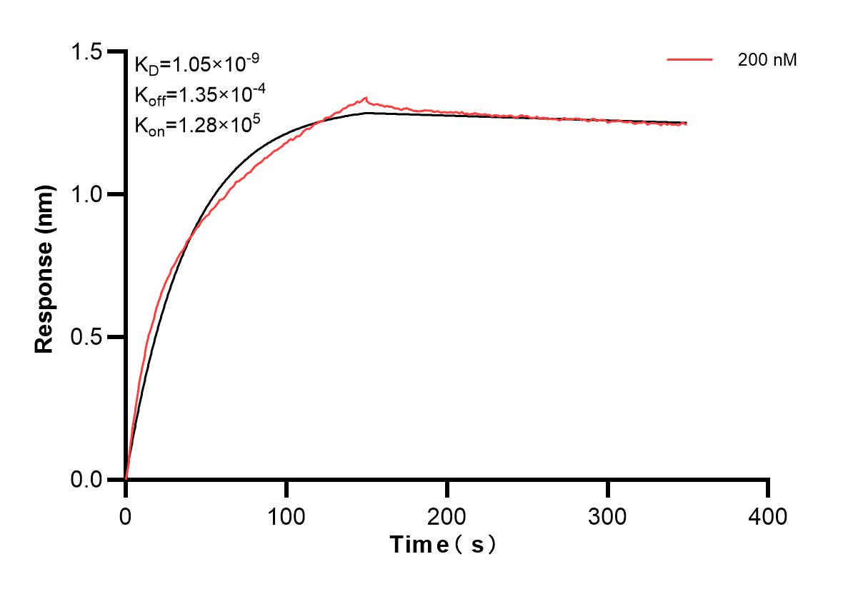 Affinity and Kinetic Characterization of 82870-2-PBS