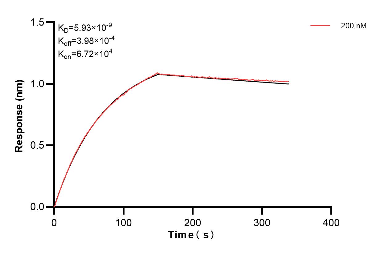 Affinity and Kinetic Characterization of 82870-4-PBS