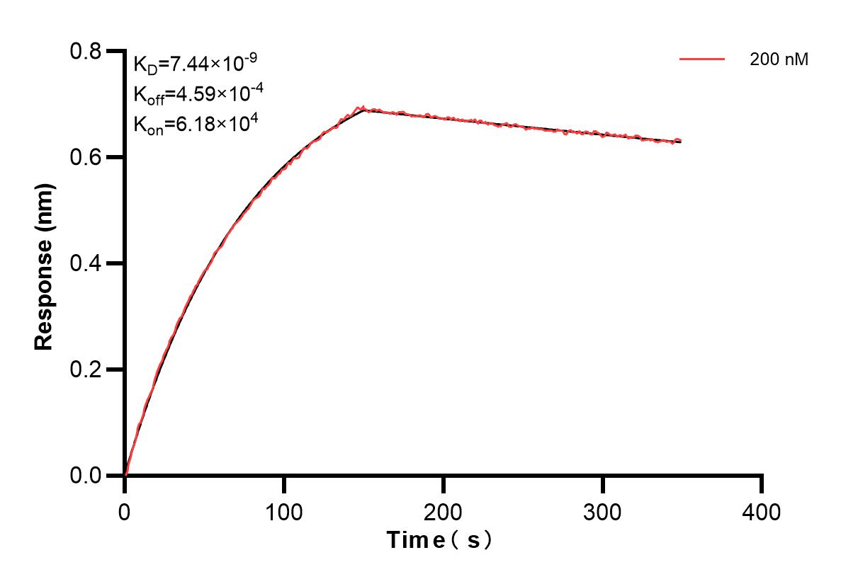 Affinity and Kinetic Characterization of 82870-5-PBS