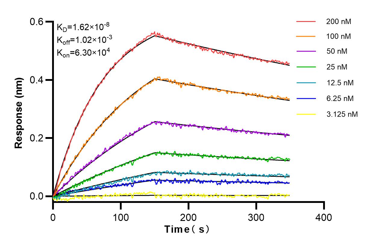 Affinity and Kinetic Characterization of 82870-7-RR