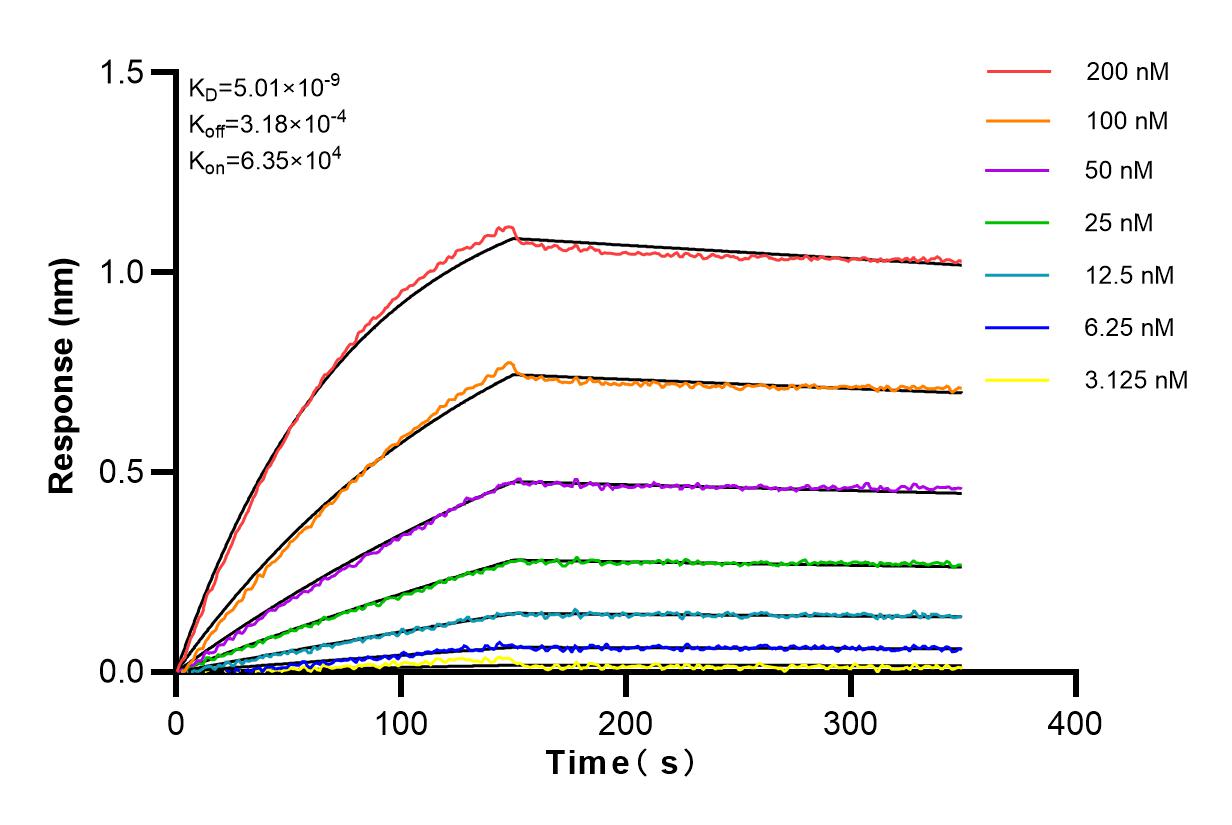 Affinity and Kinetic Characterization of 82873-2-PBS