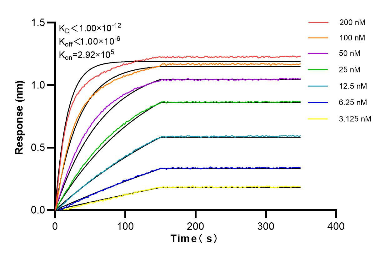 Affinity and Kinetic Characterization of 82879-1-PBS