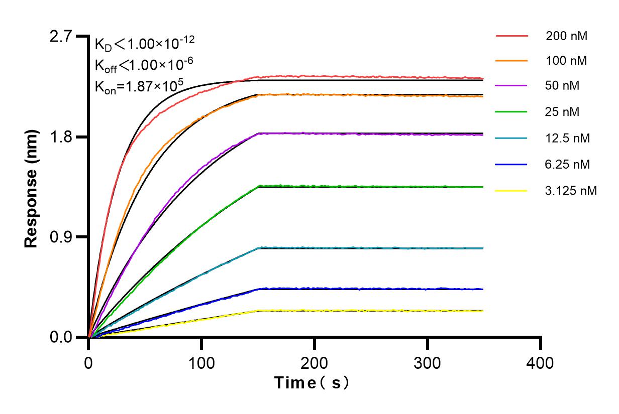 Affinity and Kinetic Characterization of 82886-2-RR