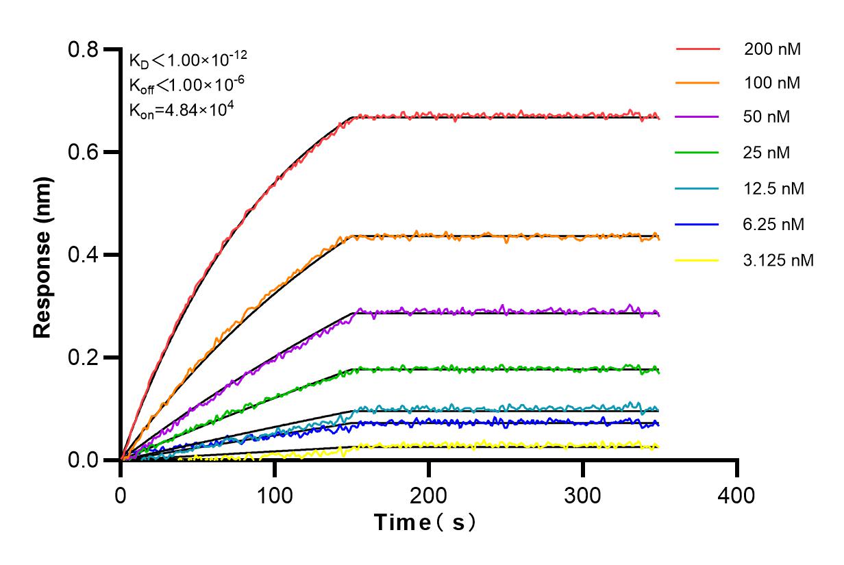 Affinity and Kinetic Characterization of 82890-1-RR