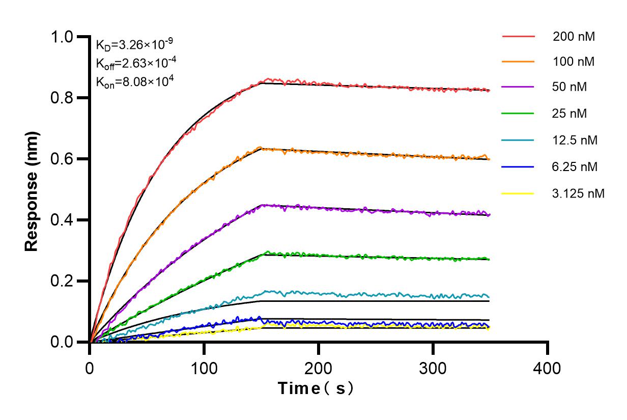 Affinity and Kinetic Characterization of 82890-3-RR