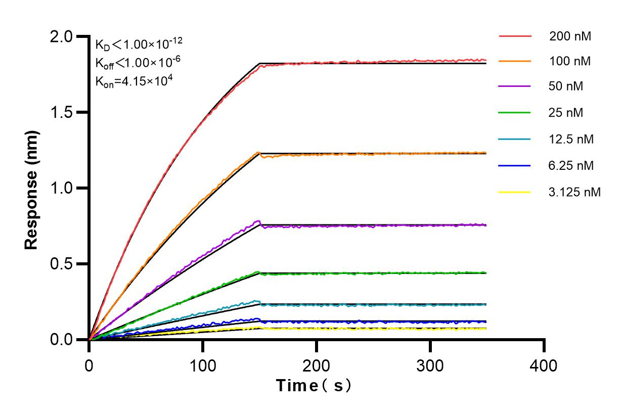 Affinity and Kinetic Characterization of 82893-2-RR