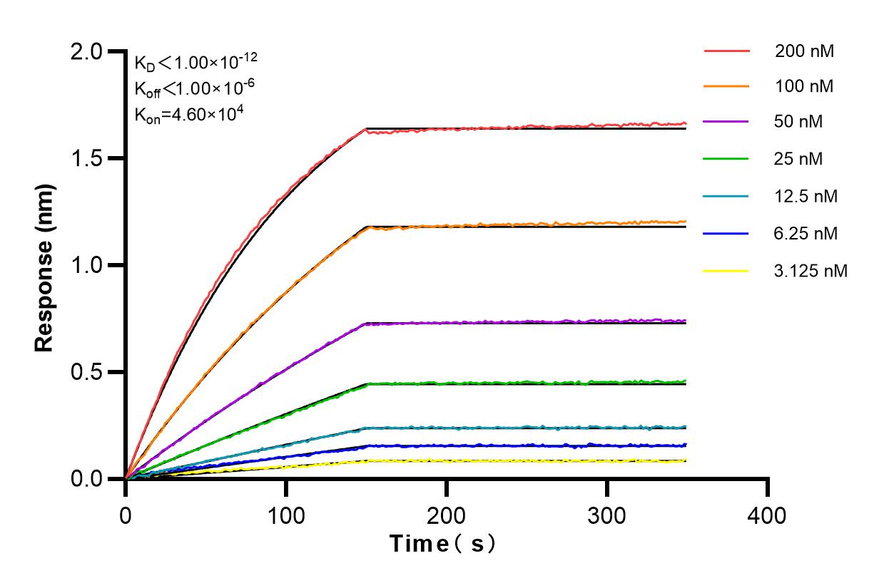 Affinity and Kinetic Characterization of 82894-2-RR